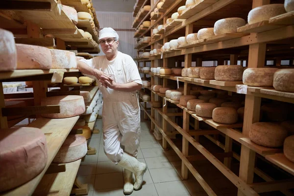 Cheese maker at the storage with shelves full of cow and goat cheese — Stock Photo, Image