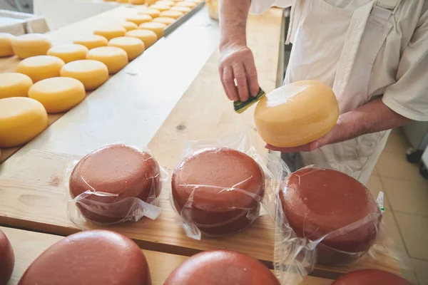 Fabricante de queijo na fábrica de produção local — Fotografia de Stock