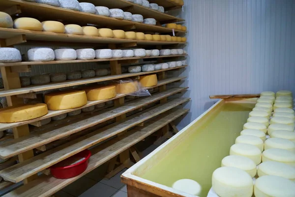Peynir fabrikası eski peynirli raflar — Stok fotoğraf