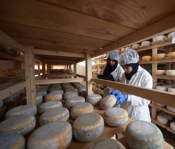 Yerel peynir üretim şirketinde iş kadını ekibi — Stok fotoğraf