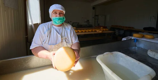 Werknemers die rauwe melk voor de kaasproductie bereiden — Stockfoto