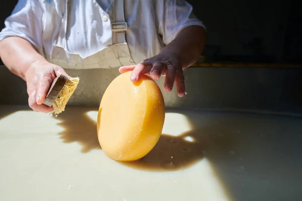 Arbeiter bereiten Rohmilch für die Käseproduktion vor — Stockfoto