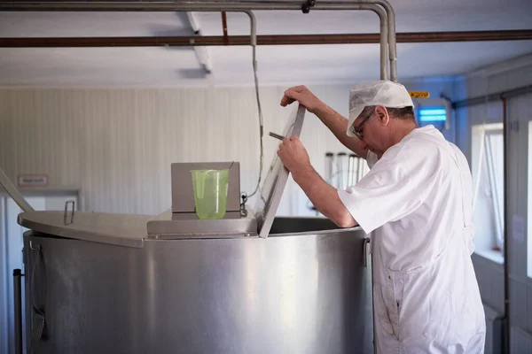 Cheesemaker för ostproduktion som arbetar i fabrik — Stockfoto