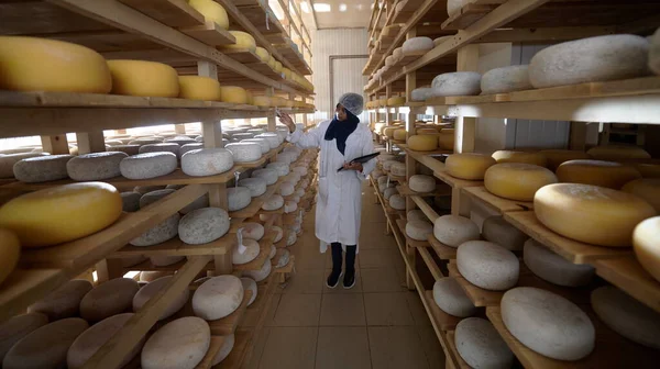 Afrikalı siyahi Müslüman kadın yerel peynir üretim şirketinde çalışıyor. — Stok fotoğraf