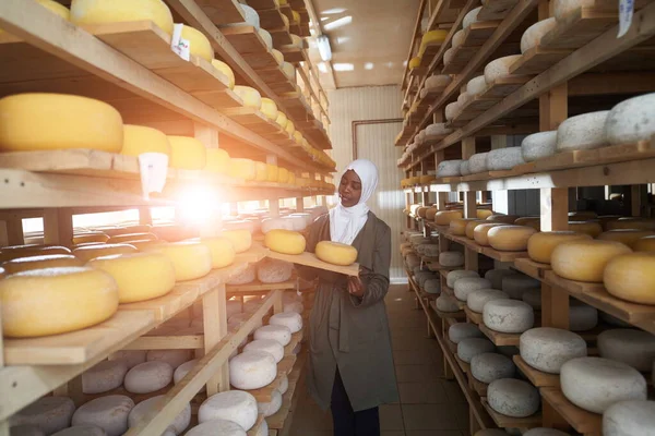 Afrikanische schwarze muslimische Geschäftsfrau in lokaler Käseproduktionsfirma — Stockfoto