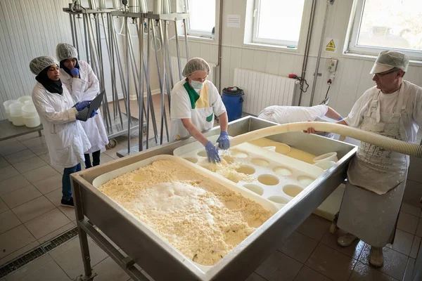 Trabalhadores que preparam leite cru para a produção de queijo — Fotografia de Stock