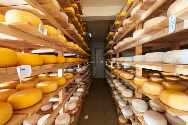 Estantes de producción de fábrica de queso con queso viejo envejecido —  Fotos de Stock