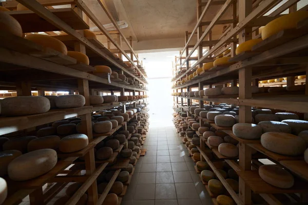 古いチーズを熟成させたチーズ工場生産棚 — ストック写真