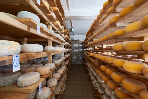 Estantes de producción de fábrica de queso con queso viejo envejecido —  Fotos de Stock