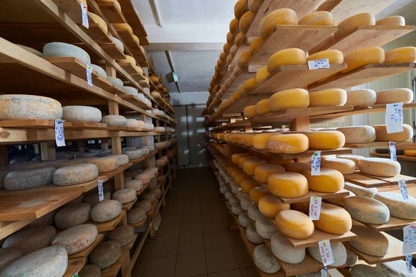 Estantes de producción de fábrica de queso con queso viejo envejecido —  Fotos de Stock