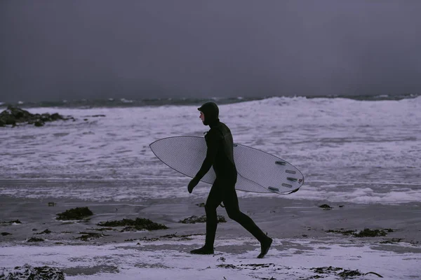 Authentic Local Arctic Surfer Going Beach Surfing Northern Sea Norwegian — Stock Photo, Image