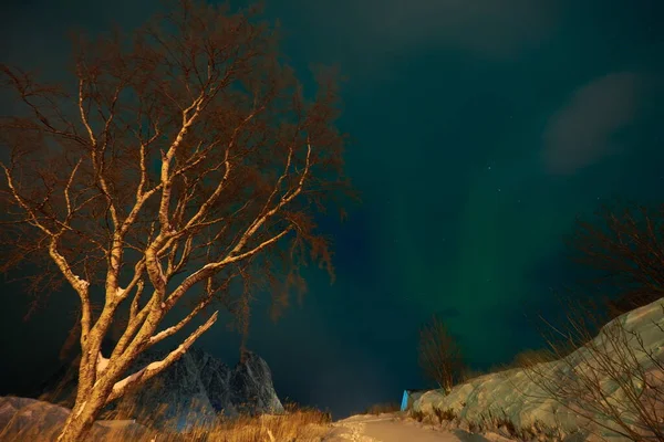 オーロラ山の上の緑の北部の光 — ストック写真