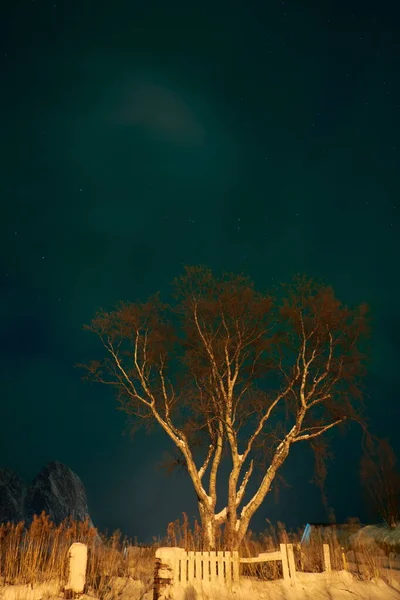 Aurora borealis Verde aurora boreale sopra le montagne — Foto Stock
