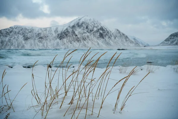 Wybrzeże Norwegii w zimie ze śniegiem zła pogoda zachmurzenie — Zdjęcie stockowe