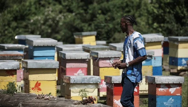 Afrykański pszczelarz miejscowy producent miodu czarnego — Zdjęcie stockowe