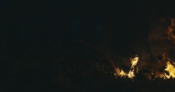 Brandmän hoppar över eld i tät skog, brandman med säkerhetsutrustning och yxa släcker eld i skogen på natten — Stockvideo