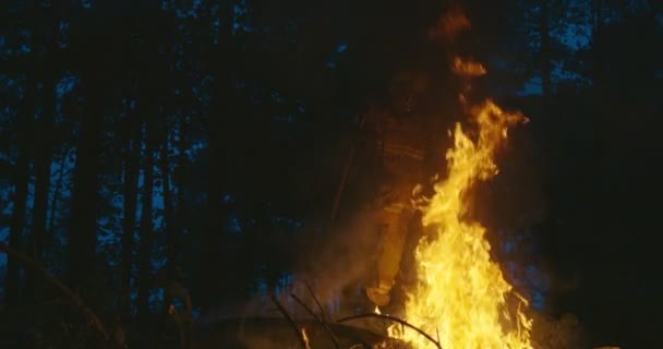 Пожежники стрибають над вогнем у густому лісі, пожежник з обладнанням безпеки та сокирою, що гасить вогонь у лісі вночі — стокове відео