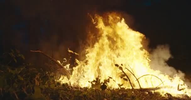 Bombeiros pulando sobre fogo em floresta densa, bombeiros com equipamentos de segurança e machado extinguindo fogo na floresta à noite — Vídeo de Stock