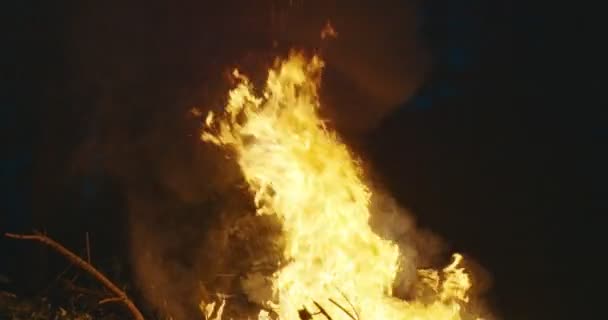 Ordu mensupları gece vakti yoğun ormandaki yangının üzerine atlayıp harekete geçiyorlar. Gece askeri harekat kavramı. — Stok video