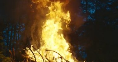 Yoğun ormanda itfaiyeciler ateşin üzerinden atlıyor. Güvenlik ekipmanları ve baltalı itfaiyeciler geceleri ormanda yangını söndürüyorlar.