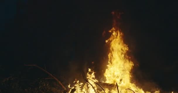 Bombeiros pulando sobre fogo em floresta densa, bombeiros com equipamentos de segurança e machado extinguindo fogo na floresta à noite — Vídeo de Stock