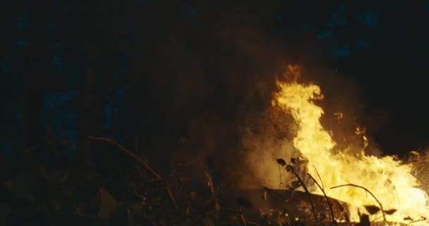 Военнослужащие, идущие тщательным образом и бродившие над огнем в густом лесу ночью, концепция армейских действий ночью — стоковое видео