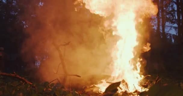 Пожежники стрибають над вогнем у густому лісі, пожежник з обладнанням безпеки та сокирою, що гасить вогонь у лісі вночі — стокове відео