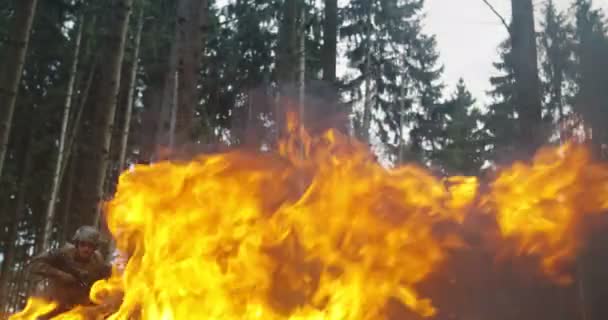 Katonai ügynökök mennek alapos akció és juping tűz felett sűrű erdőben, koncepció katonai akció — Stock videók