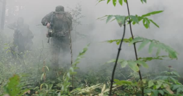 士兵们在茂密的森林里执行着军事行动，在后戈尔德冒着烟，军队在森林里执行着行动 — 图库视频影像