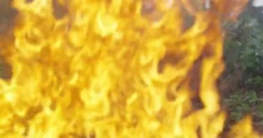 Özel Kuvvetler askerleri görev başında. Seçkin birlikler ormanda ateş ve duman içinde ilerliyorlar.