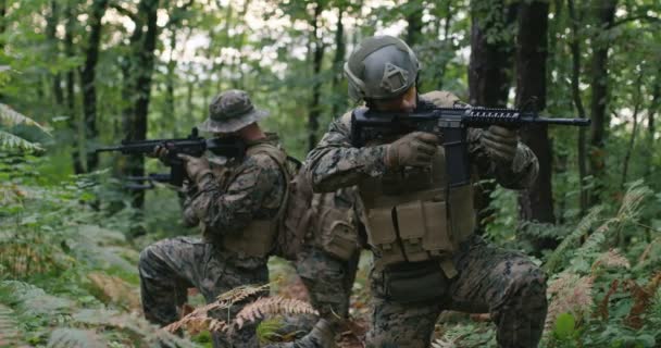 Grupp soldater som rör sig genom rökig skog med gevär redo att skjuta, som löper genom skogen under militära insatser — Stockvideo