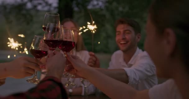 Concepto de amistad juvenil - Manos brindar copa de vino tinto al lado del río en la noche — Vídeo de stock