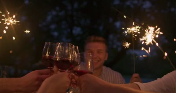 Concepto de amistad juvenil - Manos brindar copa de vino tinto al lado del río en la noche — Vídeo de stock