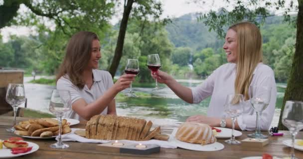 Gruppe von Freunden grillt in der Natur, trinkt Wein mit Feuerwerk im Hintergrund — Stockvideo