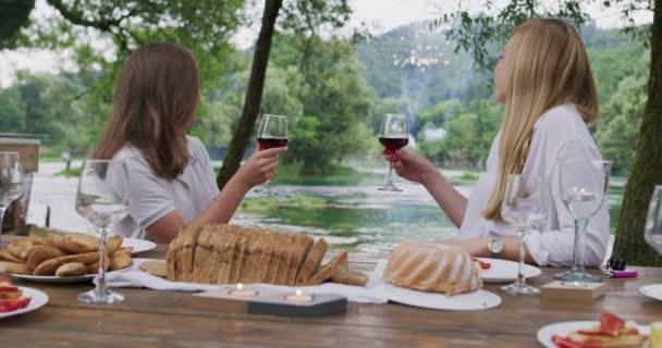Группа друзей, делающих барбекю на природе, пьющих вино с фейерверками на заднем плане — стоковое видео