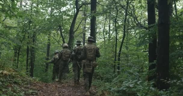 Полностью оборудованные солдаты в камуфляже на разведывательной военной миссии, движущиеся через густой лес. — стоковое видео