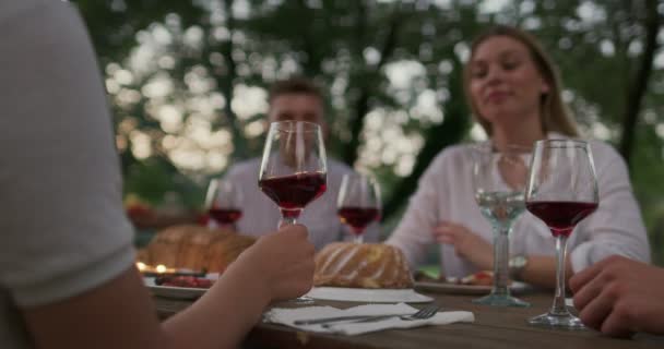 Ομάδα χαρούμενων φίλων ψήσιμο κόκκινο ποτήρι κρασιού, ενώ έχοντας πικ-νικ γαλλικό δείπνο υπαίθριο κατά τη διάρκεια των καλοκαιρινών διακοπών κοντά στο ποτάμι στην όμορφη φύση — Αρχείο Βίντεο