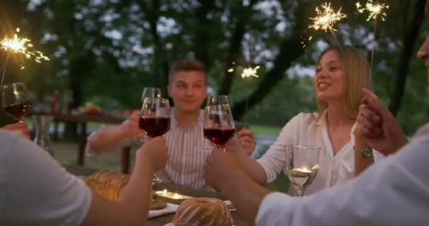 Grupo de amigos felices brindar copa de vino tinto mientras tiene picnic cena francesa fiesta al aire libre durante las vacaciones de verano cerca del río en la hermosa naturaleza — Vídeo de stock