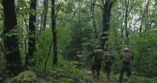 Повністю обладнані солдати в камуфляжі на розвідувальній військовій місії, що рухається щільним лісом — стокове відео