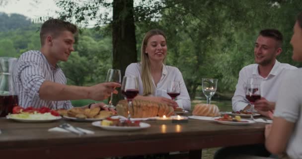 Ομάδα χαρούμενων φίλων ψήσιμο κόκκινο ποτήρι κρασιού, ενώ έχοντας πικ-νικ γαλλικό δείπνο υπαίθριο κατά τη διάρκεια των καλοκαιρινών διακοπών κοντά στο ποτάμι στην όμορφη φύση — Αρχείο Βίντεο
