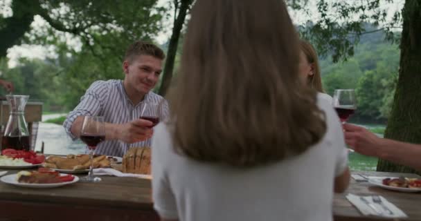 Gruppo di amici felici brindare bicchiere di vino rosso mentre hanno pic-nic francese cena all'aperto durante le vacanze estive vacanza vicino al fiume a bella natura — Video Stock