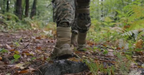 Fullt utrustade soldater bär kamouflageuniform och rör sig genom tät skog under militära insatser — Stockvideo
