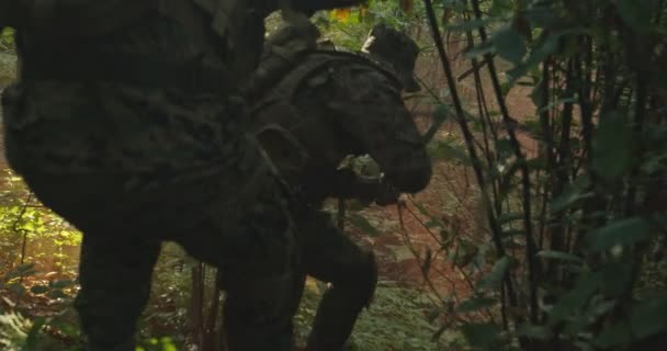Egy csapat katona, akik tüzelésre kész puskával haladnak át a füstös erdőn, katonai akció közben az erdőn. — Stock videók