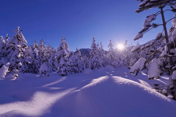 Zimní východ slunce s čerstvým sněhem pokrytým lesem a horami — Stock fotografie