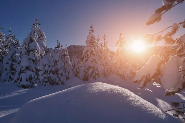 Lever de soleil d'hiver avec forêt couverte de neige fraîche et montagnes — Photo