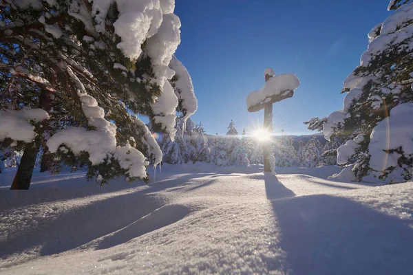 Cruz de madera cubierta de nieve fresca en la hermosa mañana de invierno fresco —  Fotos de Stock