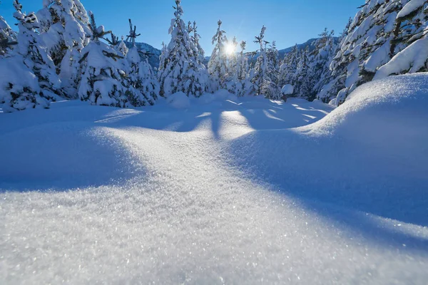 Lever de soleil d'hiver avec forêt couverte de neige fraîche et montagnes — Photo