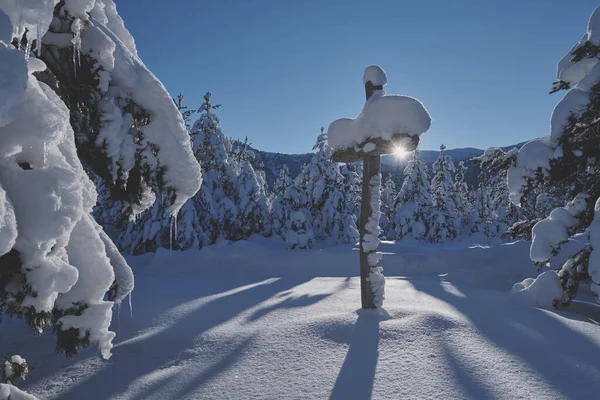 Wooden cross covered with fresh snow at beautiful fresh winter morning — Stock Photo, Image