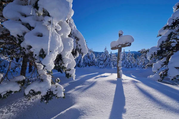 Croix en bois recouverte de neige fraîche au beau matin d'hiver frais — Photo