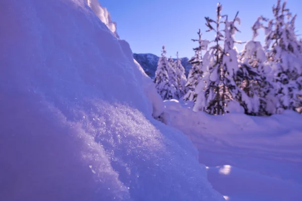 Amanecer de invierno con bosque cubierto de nieve fresca y montañas —  Fotos de Stock